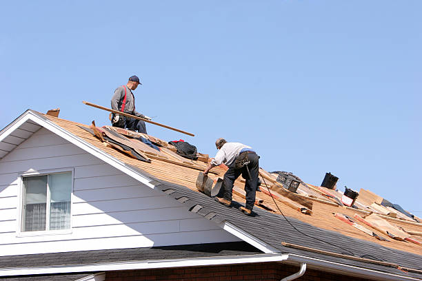 Best Metal Roofing Installation  in Lead, SD
